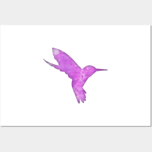 Humming Bird Posters and Art